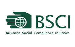 BSCI 行為準(zhǔn)則主要包含那些內(nèi)容？