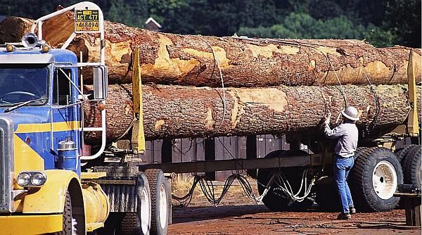 FSC森林認證審核的效益主要表現(xiàn)在哪些方面？