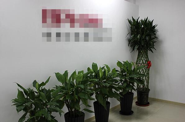 恭喜**國(guó)際貿(mào)易(廣州)有限公司通過(guò)Smeta-4P驗(yàn)廠(chǎng)