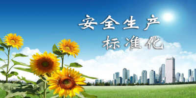 什么是安全生產(chǎn)標(biāo)準(zhǔn)化？