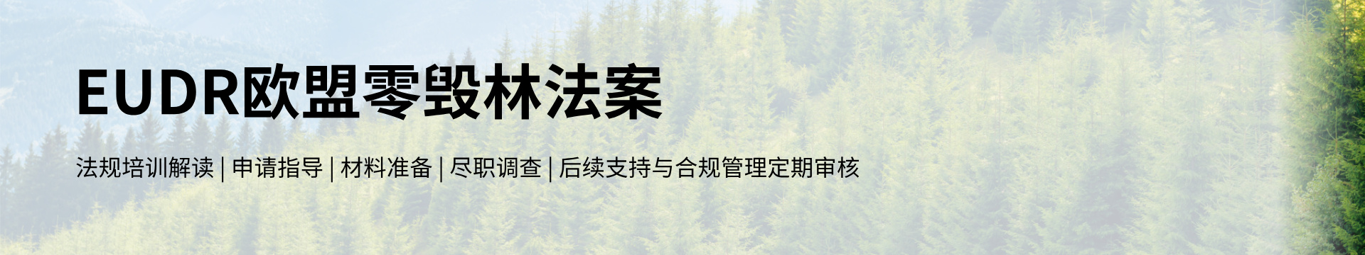熱門認證項目